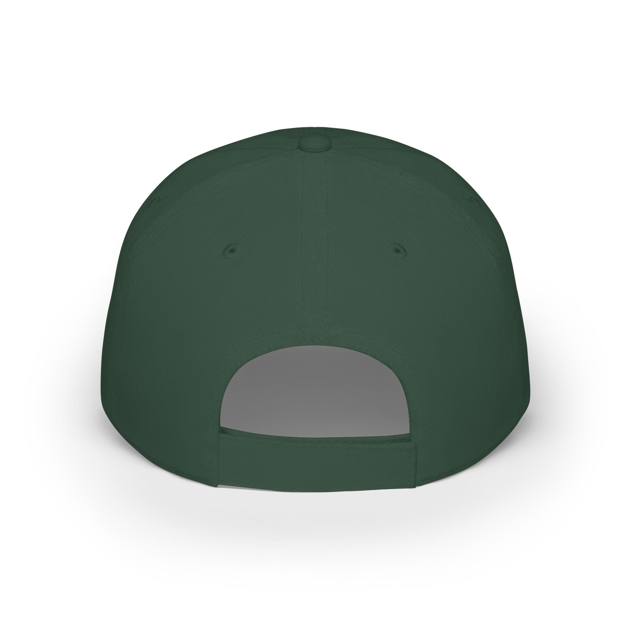 Low Profile Baseball Cap - "A House Divided Against Itself Cannot Stand" Patriotic Embroidered Hat - Americas RAGING Politics