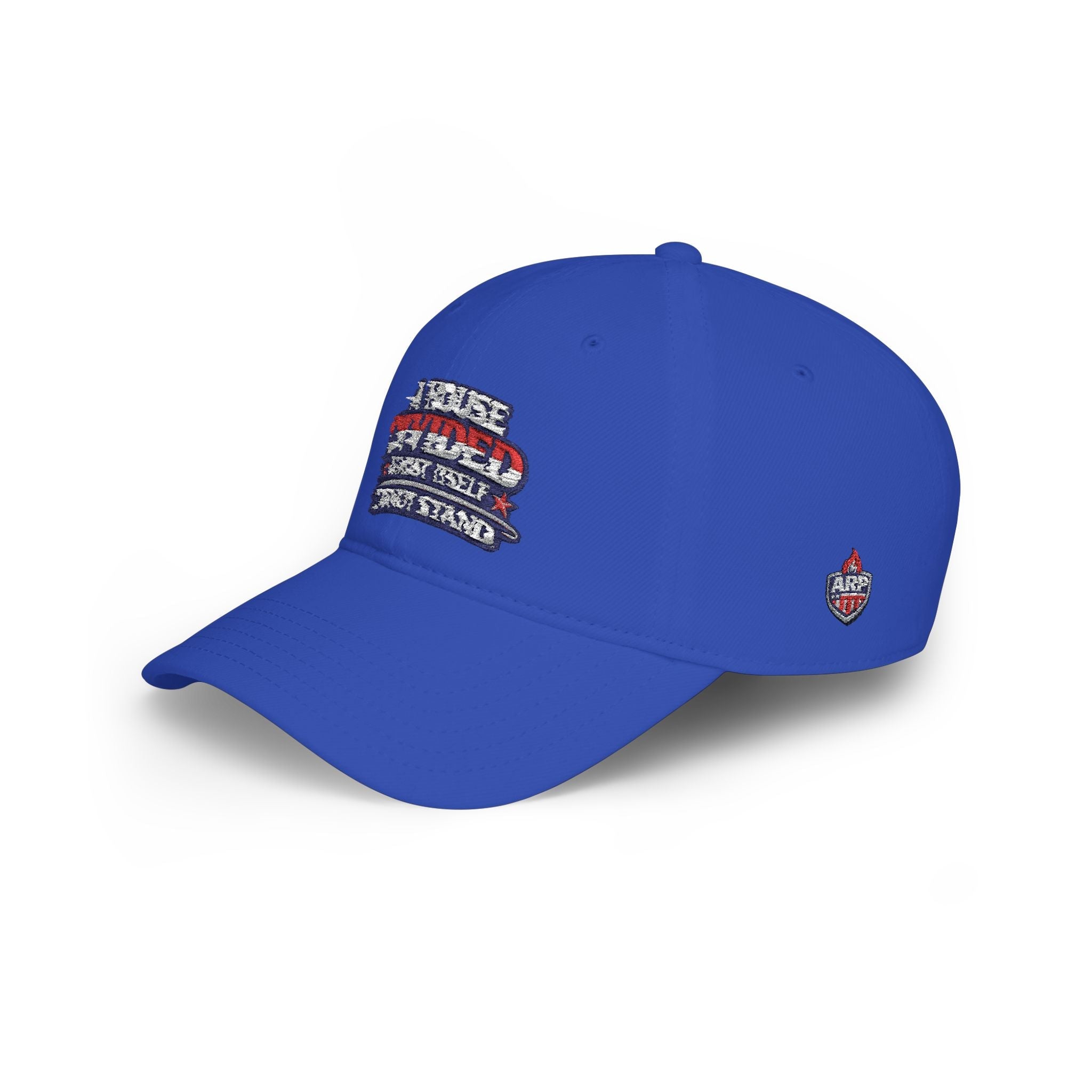 Low Profile Baseball Cap - "A House Divided Against Itself Cannot Stand" Patriotic Embroidered Hat - Americas RAGING Politics