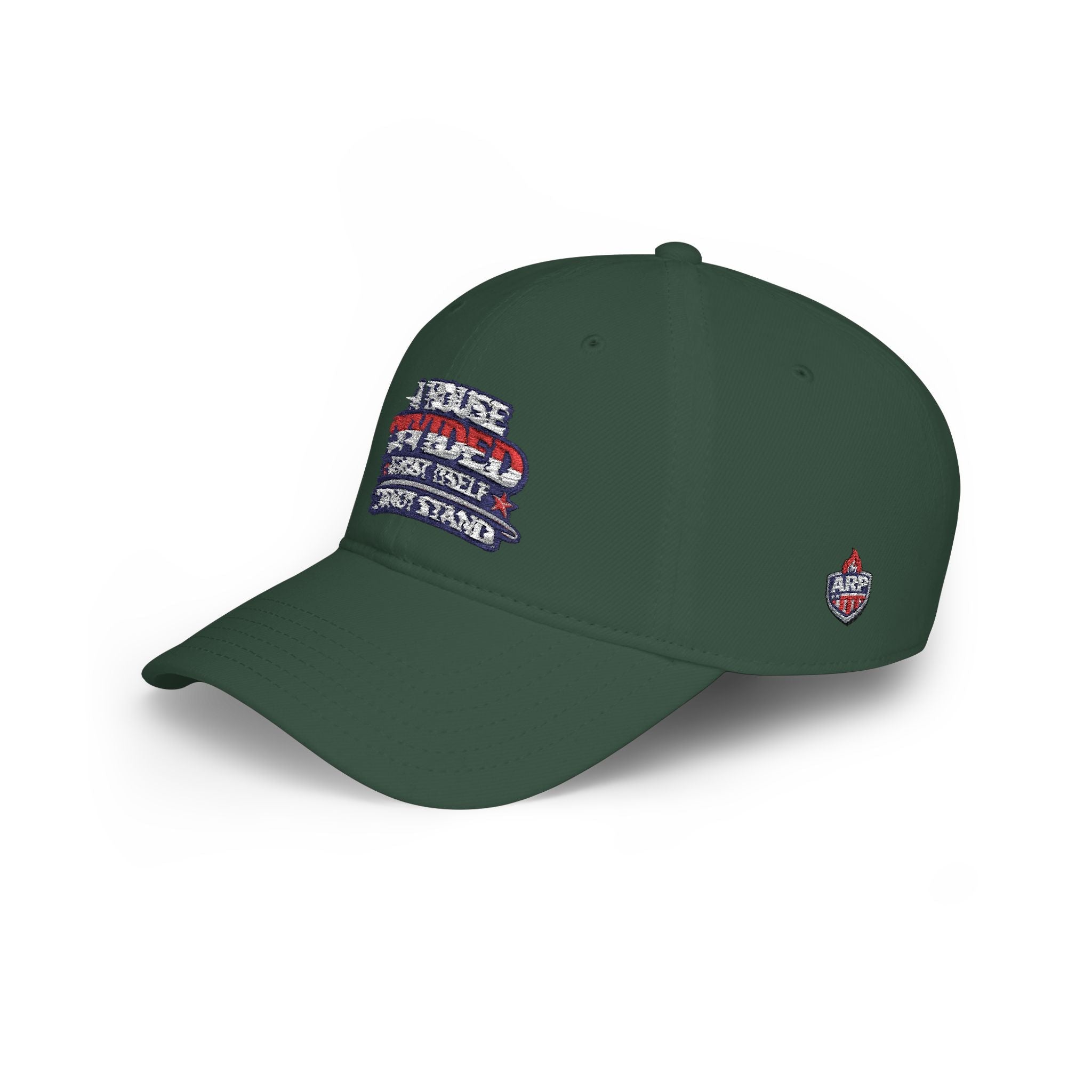 Low Profile Baseball Cap - "A House Divided Against Itself Cannot Stand" Patriotic Embroidered Hat - Americas RAGING Politics
