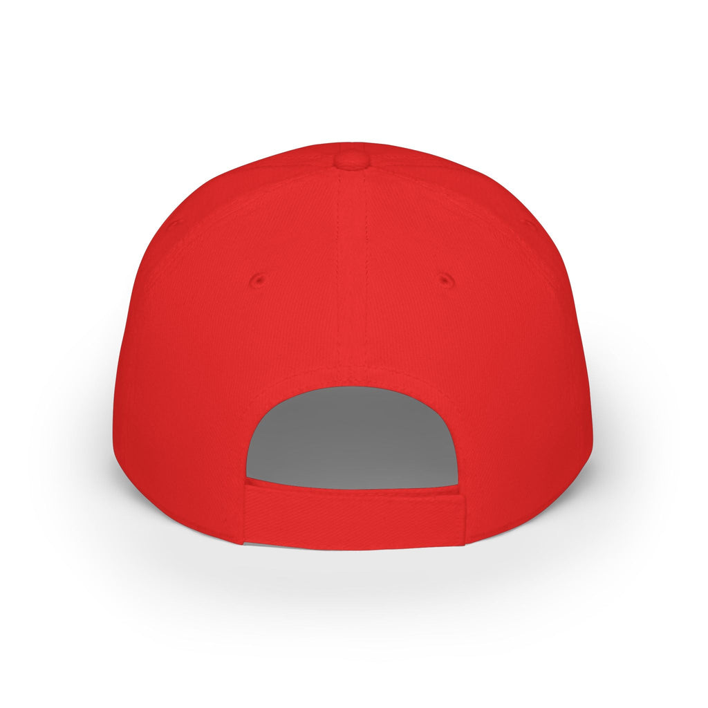 Low Profile Baseball Cap - "A House Divided Against Itself Cannot Stand" Patriotic Embroidered Hat - Americas RAGING Politics