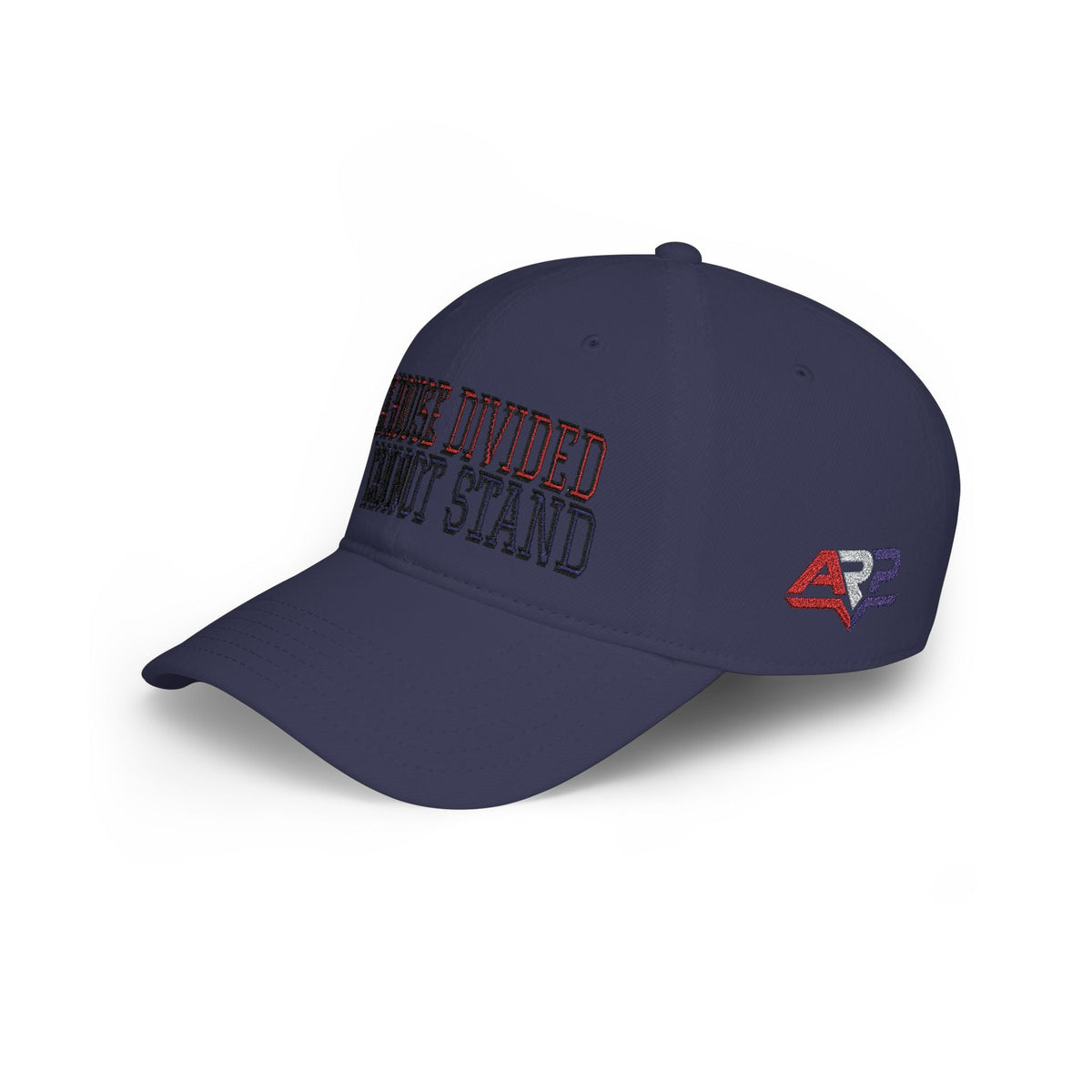 A House Divided Cannot Stand | Embroidered Patriotic Hat - Americas RAGING Politics