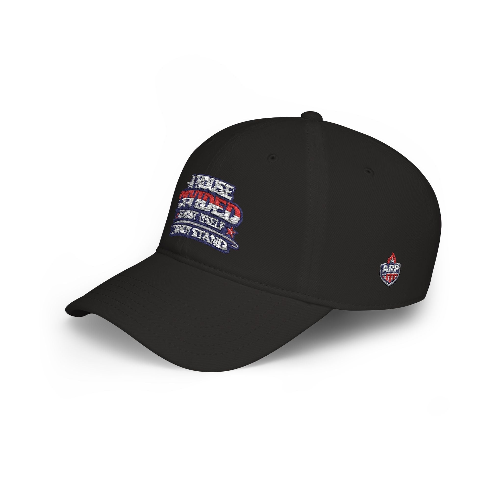 Low Profile Baseball Cap - "A House Divided Against Itself Cannot Stand" Patriotic Embroidered Hat - Americas RAGING Politics
