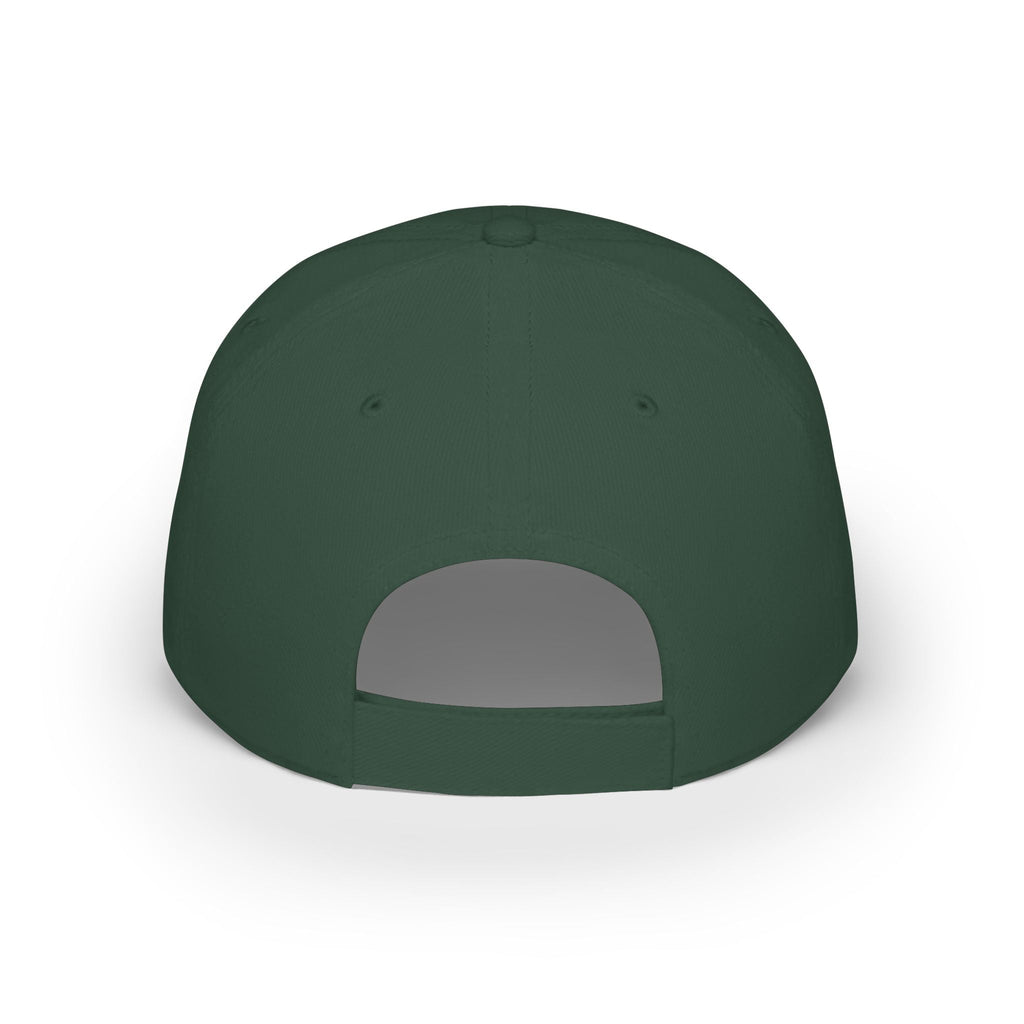 America 250 Low Profile Baseball Cap – Fight for Freedom 1776–2026 - Americas RAGING Politics