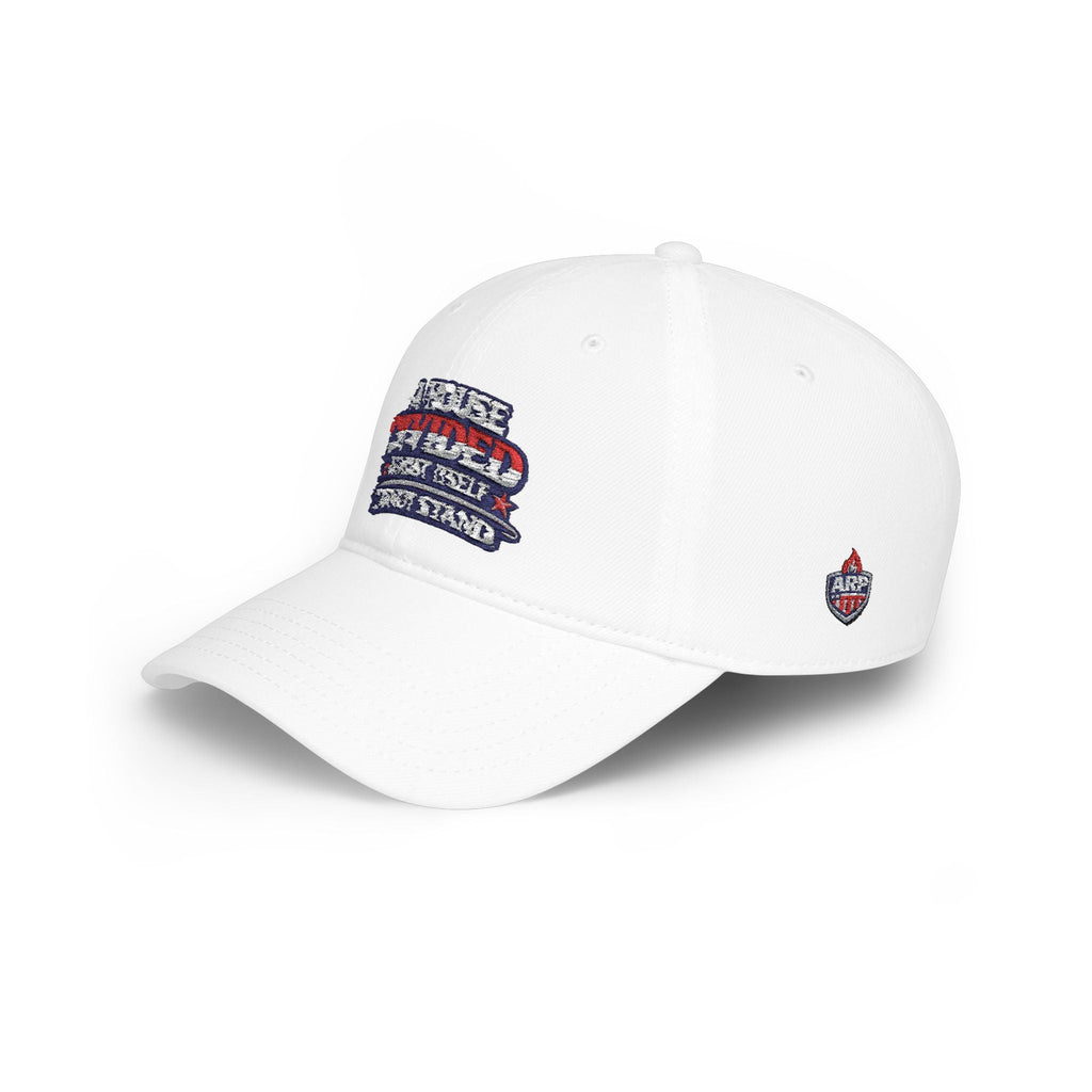 Low Profile Baseball Cap - "A House Divided Against Itself Cannot Stand" Patriotic Embroidered Hat - Americas RAGING Politics