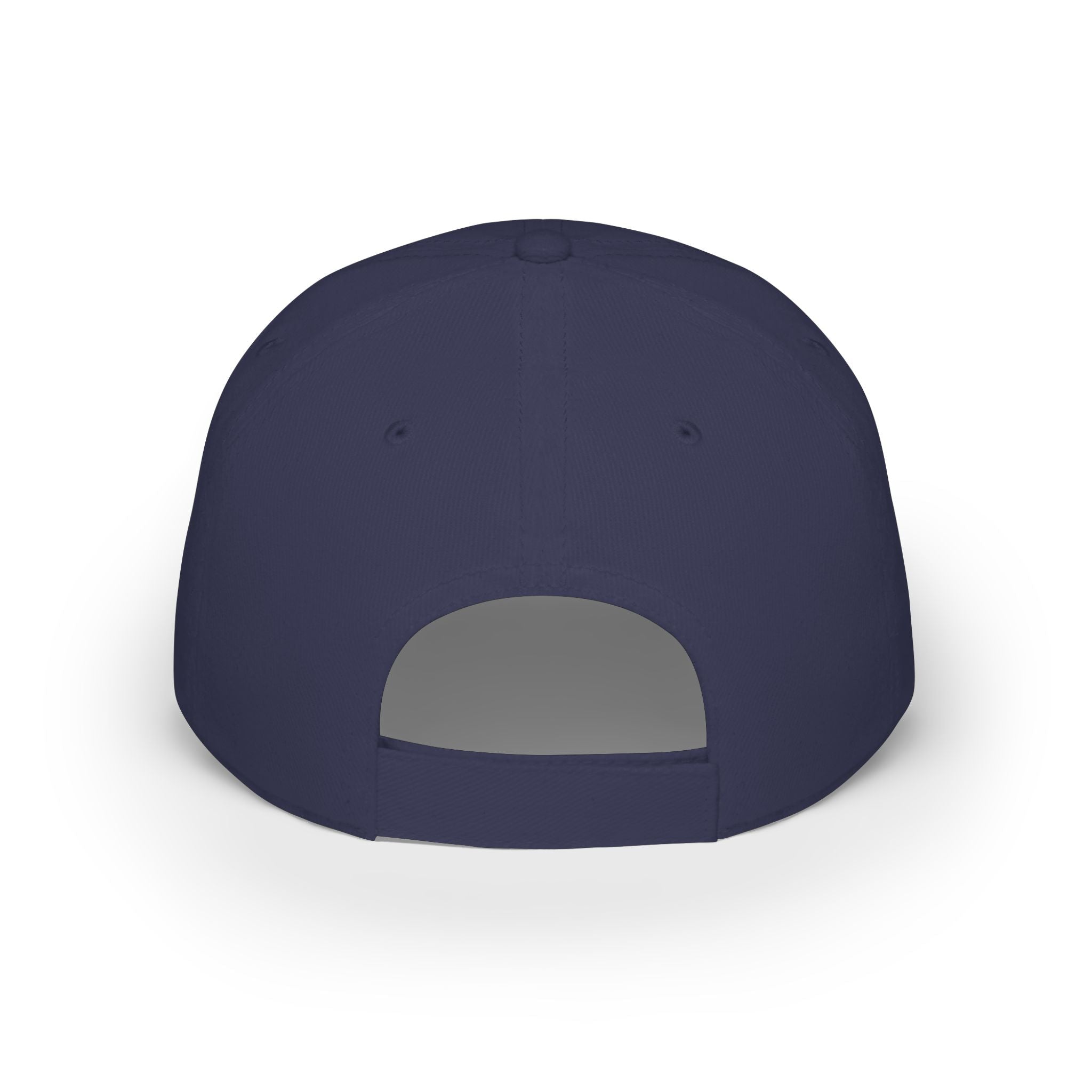 America 250 Low Profile Baseball Cap – Fight for Freedom 1776–2026 - Americas RAGING Politics