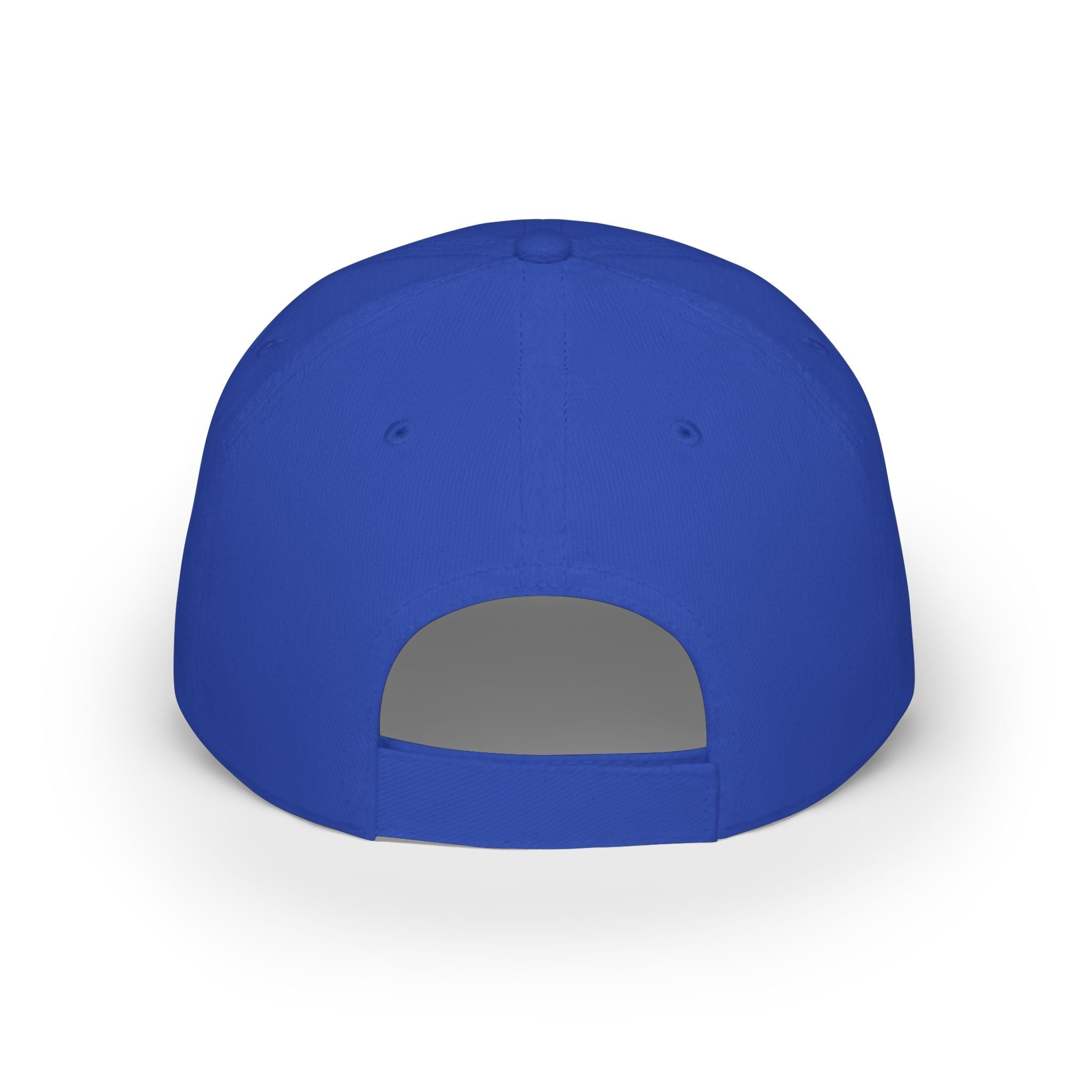 Low Profile Baseball Cap - "A House Divided Against Itself Cannot Stand" Patriotic Embroidered Hat - Americas RAGING Politics