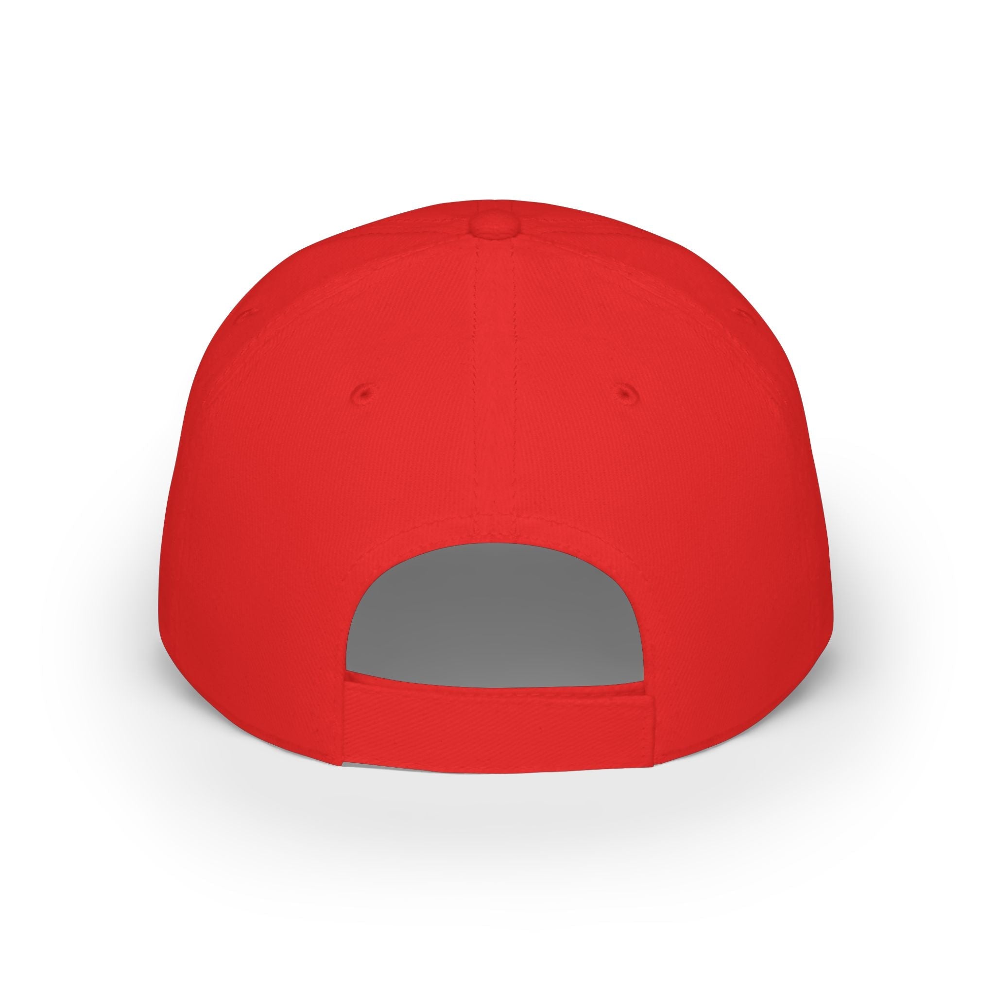 America 250 Embroidered Baseball Cap - Americas RAGING Politics