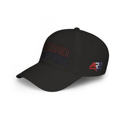 A House Divided Cannot Stand | Embroidered Patriotic Hat - Americas RAGING Politics